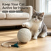 4 in Sisal Cat Ball with Feather, Interactive Hunting Chew Toy for Kittens