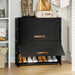 5 Tier Shoe Cabinet with Door, 20-Pair Storage, Black