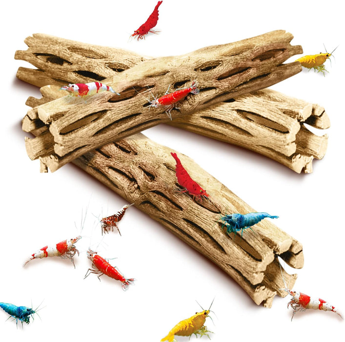 3 Pack Shrimp Cholla Wood, Aquarium Driftwood Decor for Fish Tank Setup, Shelter Hideout and Grazing Surface, Habitat En