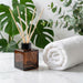 100ml 2pcs Reed Diffuser Bottles - Fragrance Diffuser Empty Bottle with 20pcs Reed Sticks for Home Fragrance Accessories and Women Gift Room,Home,Bathroom Decor