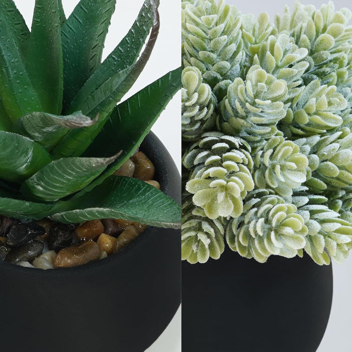 Set of 3 Artificial Succulent Plants in Black Concrete Pots Faux Aloe Hops String of Pearls Potted Plants Small Fake Pla