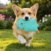 Not Stuffing Dog Toys, Soft Plush Animal Toys for Dogs,5 Pack Durable Stuffless Chew Toys for Small & Medium Dogs, Inter