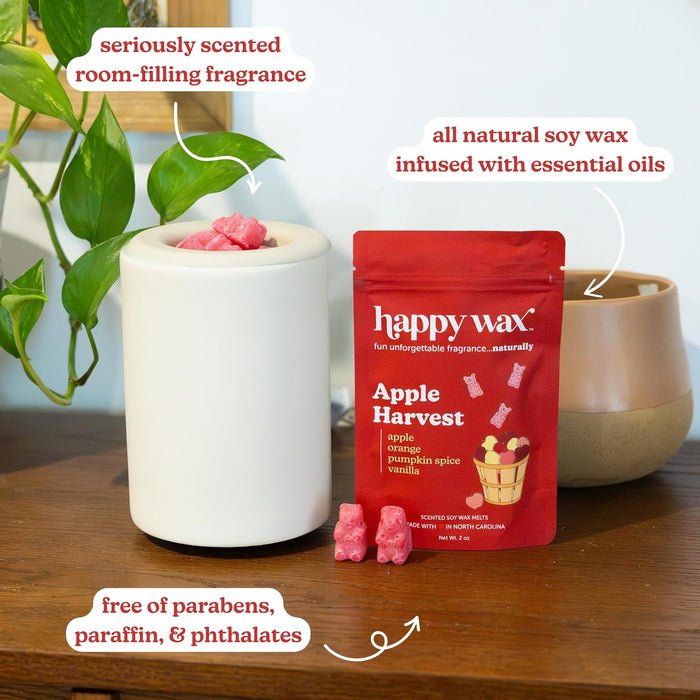 Fall Scented Soy Wax Melts 6oz Variety Pack - Savory Collection