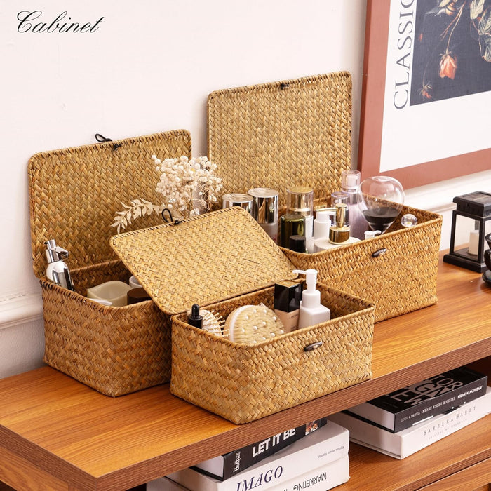 Wicker Storage Basket with Lid,Seagrass Shelf Basket Set of 3,Nautral