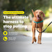 Easy Walk Harness, No Pull Dog Harness, Teal, Medium