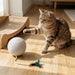 4 in Sisal Cat Ball with Feather, Interactive Hunting Chew Toy for Kittens