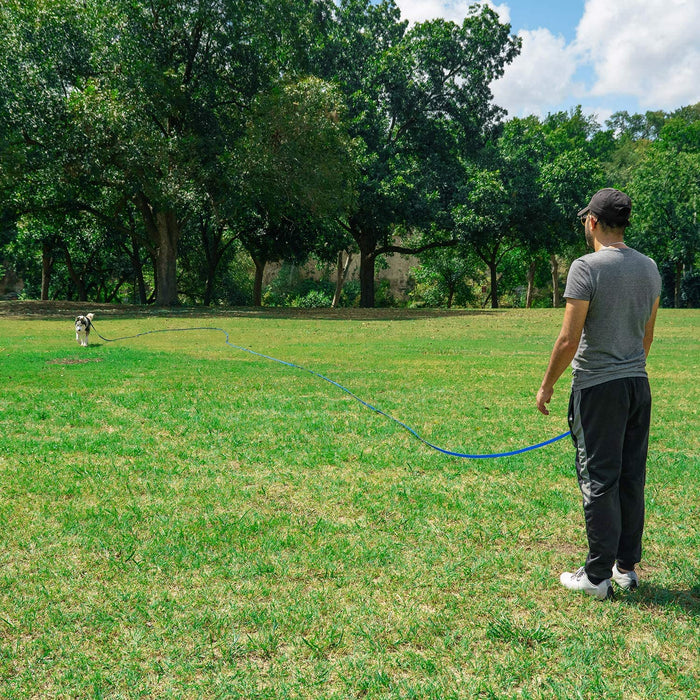 Dog/Puppy Obedience Recall Training Agility Lead - 15ft 20ft 30ft 50ft 100ft Training Leash - Great for Play, Camping, or Backyard - Black 20ft