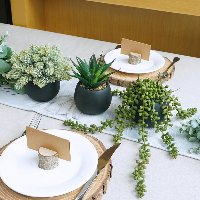 Set of 3 Artificial Succulent Plants in Black Concrete Pots Faux Aloe Hops String of Pearls Potted Plants Small Fake Pla
