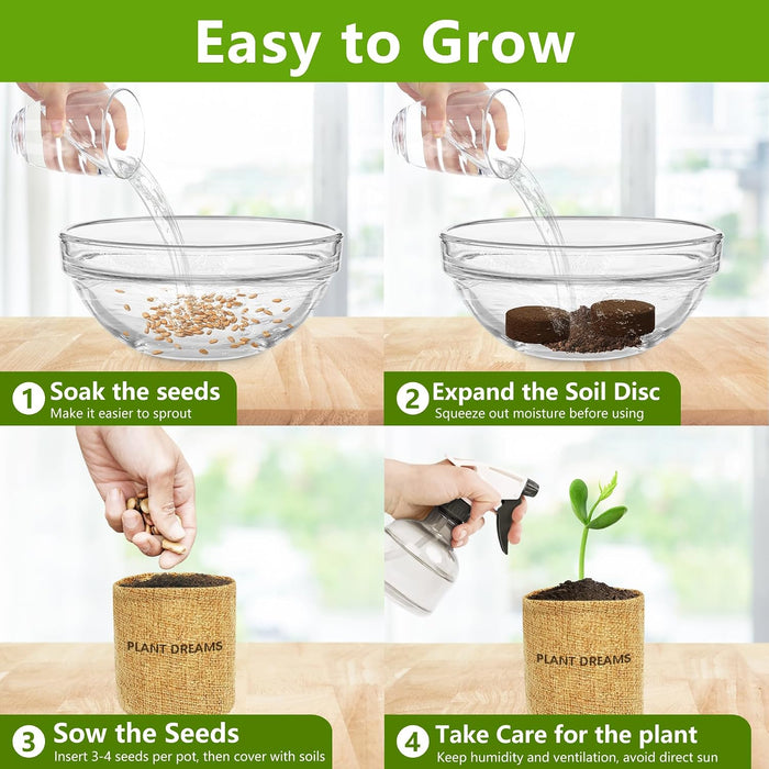Bonsai Tree Kit, Bonsai Starter Kit with Seeds & Tools, Tree Live Plants Indoor, Gardening Gifts for Women Men Mom Fathe