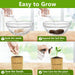Bonsai Tree Kit, Bonsai Starter Kit with Seeds & Tools, Tree Live Plants Indoor, Gardening Gifts for Women Men Mom Fathe