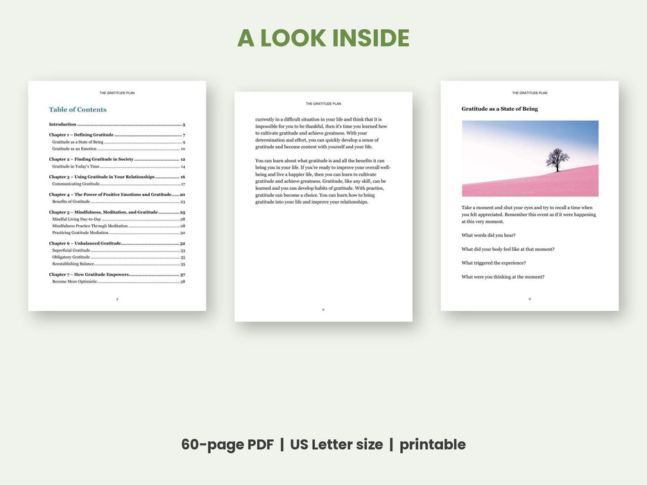The Gratitude Plan: A Step-by-Step Guide to Practising Gratitude