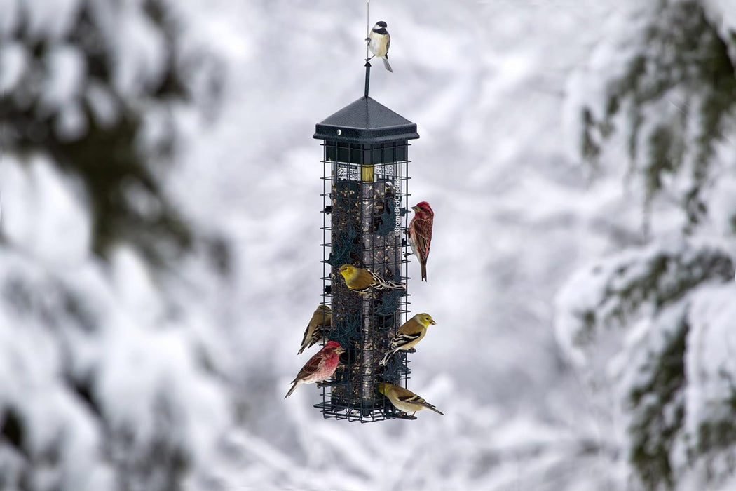 Squirrel Solution200 Squirrel-proof Bird Feeder w/6 Feeding Ports, 3.4-pound Seed Capacity, Free Seed Funnel