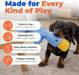Interactive Squeaky Dog Toy - Crinkle Duck, Blue