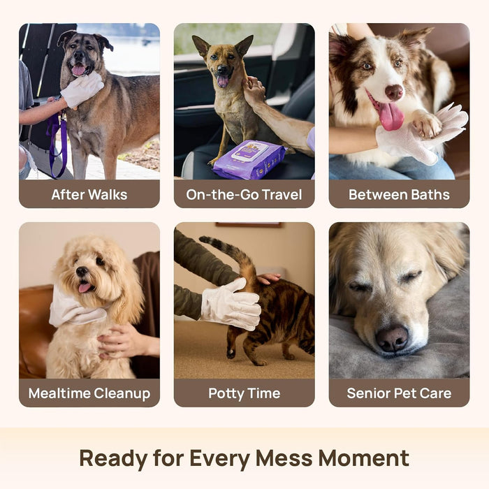 Dog Wipes for Dogs & Cats, Glove Design, 20 Count