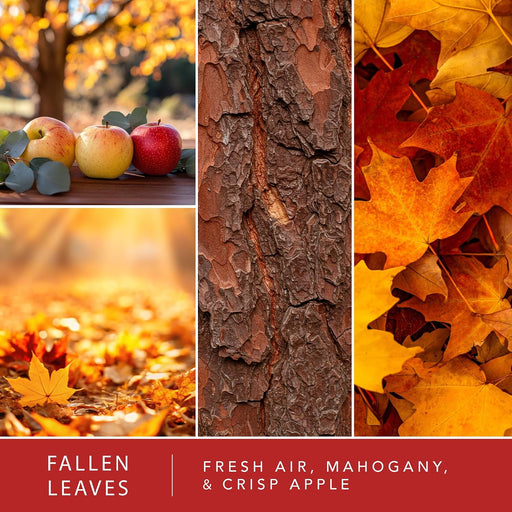 Fallen Leaves, Autumn Air Fall Wax Melts 10oz (24 Cubes)