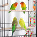 Bird Cage 64'' Medium Small Parrot Parakeet Bird Cages with Detachable Rolling Stand for Parrot Lovebirds Finches Parakeets Budgie Parrotlet Conures, Pet Flight Birdcage