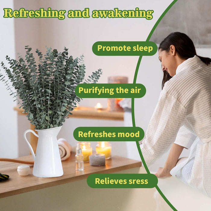 11 PCS Real Dried Eucalyptus Stem for Shower & Bathroom Decor
