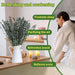 11 PCS Real Dried Eucalyptus Stem for Shower & Bathroom Decor