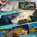 Fishing Lures - Tackle Box with Tackle Included, Fishing Kit with VIBs, Frogs, Minnows, Soft Baits, Hooks & Weights Accessories, Freshwater Lure Kit for Bass Walleye Trout