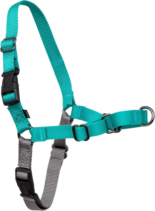 Easy Walk Harness, No Pull Dog Harness, Teal, Medium