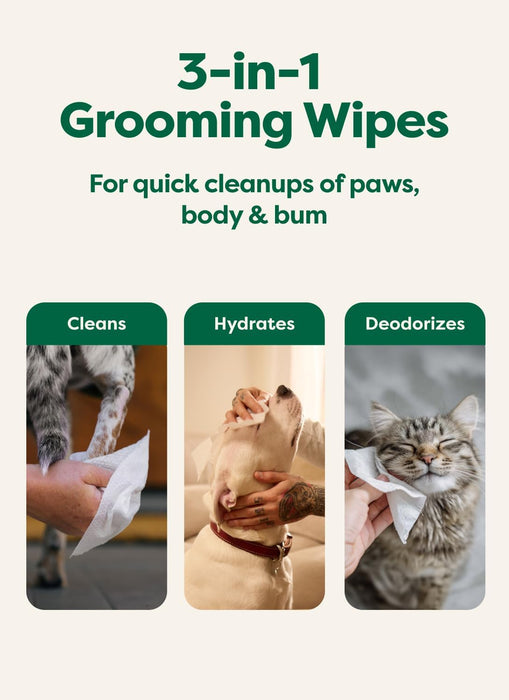 Dog Wipes for Paws & Butt, Deodorizing, Unscented, 100ct