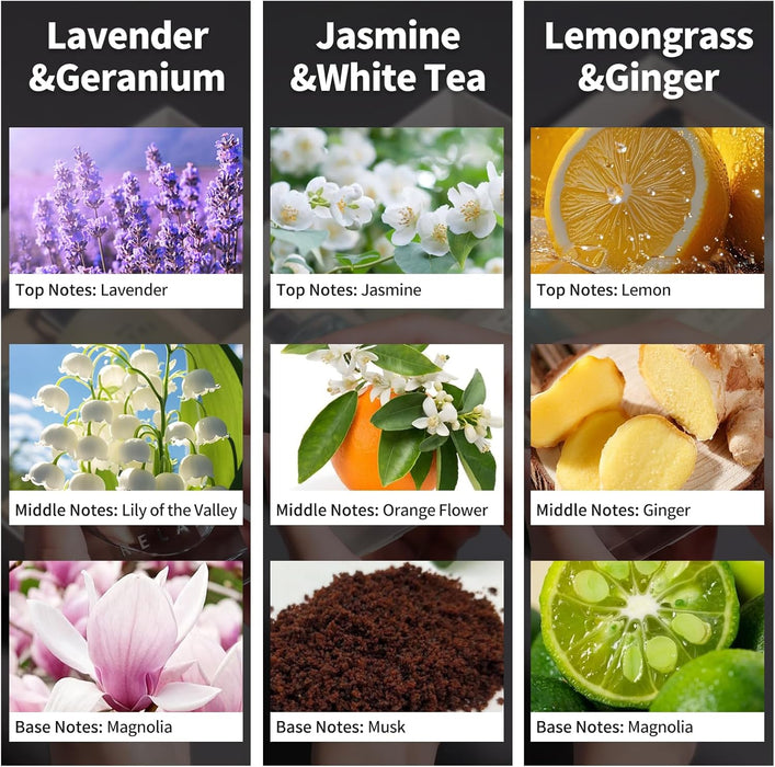 3 Pack Fragrance Reed Diffuser, 50ML Lavender Jasmine Lemongrass