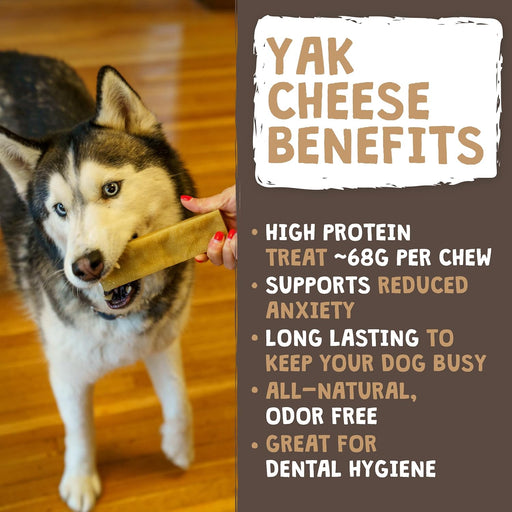 Yak Chews, Long Lasting Hard Chew for Large Dogs, 4 Pack