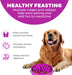 Fun Feeder Slo Bowl – Large 4‑Cup Capacity, Slow Feeding, Medium to Large Dogs, Non‑Slip, Purple, Flower Pattern