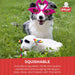 Lamb Chop Dog Plush Toy with Birthday Hat - Squeaky Dog Toy