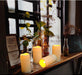 2PACK Outdoor Plastic flameless Candles with Remote Control and Timer