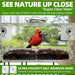 Window Bird Feeder with Non-Marking Self-Adhesive Hooks