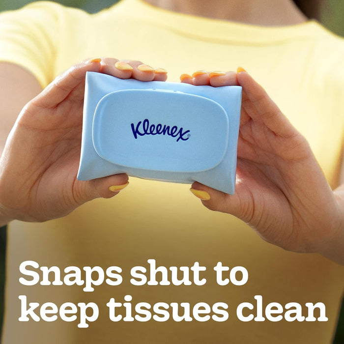 Snap & Go Ultra Soft Facial Tissues, 4 Packs, 25 Tissues per Pack