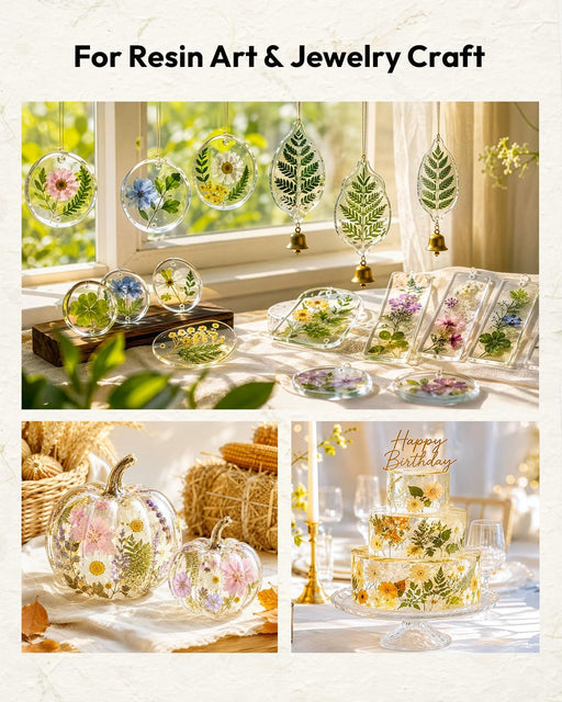 Dried Flowers, 100Pcs Pressed Flowers for Craft
