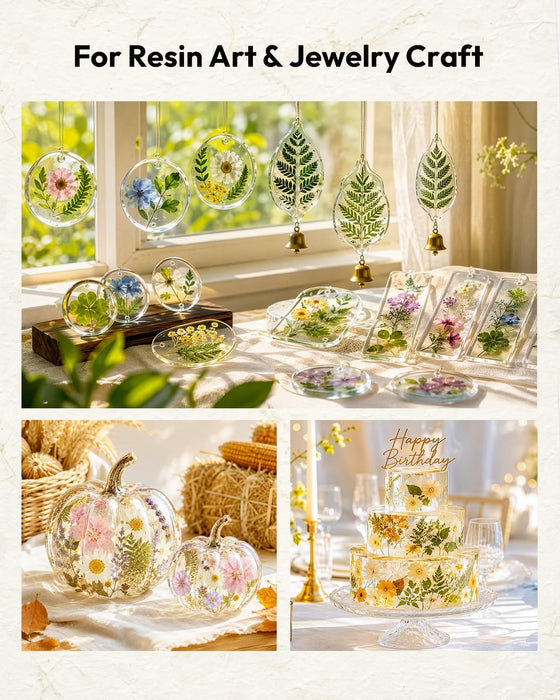 Dried Flowers, 100Pcs Pressed Flowers for Craft