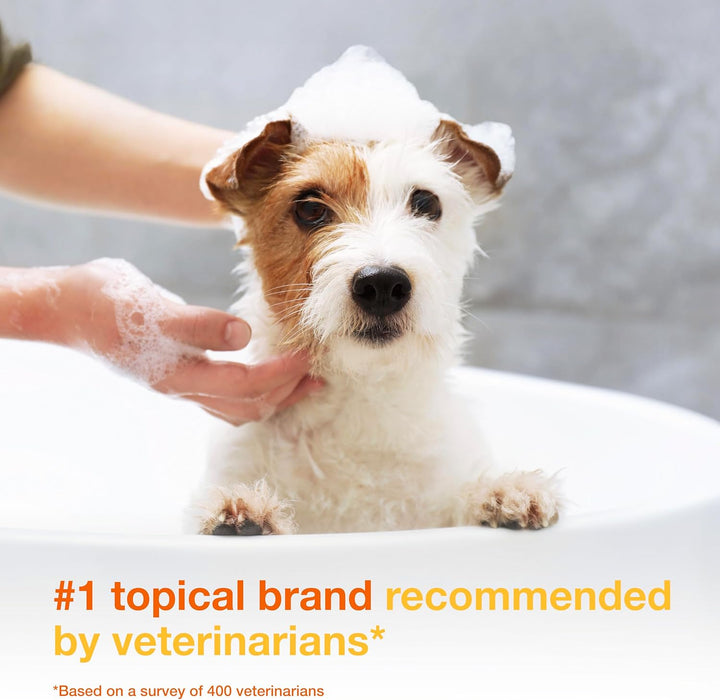 S3 PYO Medicated Dog Shampoo with 3% Chlorhexidine for Dogs – Antibacterial & Antiseptic Yeast Infection Treatment For Dogs & Cats, Clinically Proven, 6.7 fl oz