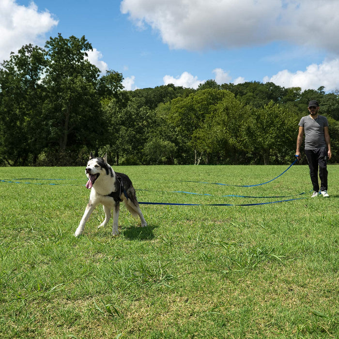 Dog/Puppy Obedience Recall Training Agility Lead - 15ft 20ft 30ft 50ft 100ft Training Leash - Great for Play, Camping, or Backyard - Black 20ft