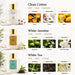 Reed Diffuser Set of 3,Clean Cotton White Jasmine White Tea Oil Reed Diffusers for Bedroom Living Room Office Aromatherapy Oil Reed Diffuser for Gift 50ml x 3