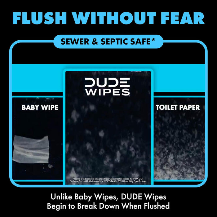Unscented Pocket Packs, Adult Flushable Travel Wipes, 96 Count