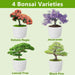 Bonsai Tree Kit, Bonsai Starter Kit with Seeds & Tools, Tree Live Plants Indoor, Gardening Gifts for Women Men Mom Fathe