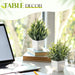 2 Pack Small Fake Plants, Mini Artificial Greenery Potted Faux Plants for Indoor Home Room Office Kitchen Farmhouse Bath