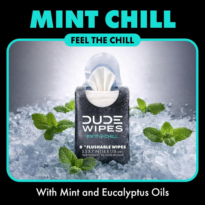 Mint Chill Pocket Packs, Adult Flushable Travel Wipes, 96 Count