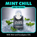 Mint Chill Pocket Packs, Adult Flushable Travel Wipes, 96 Count