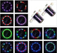 Bike Wheel Lights (2 Pack) - Waterproof LED Bicycle Spoke Tire Lights - 30 Different Patterns - Bike Accessories