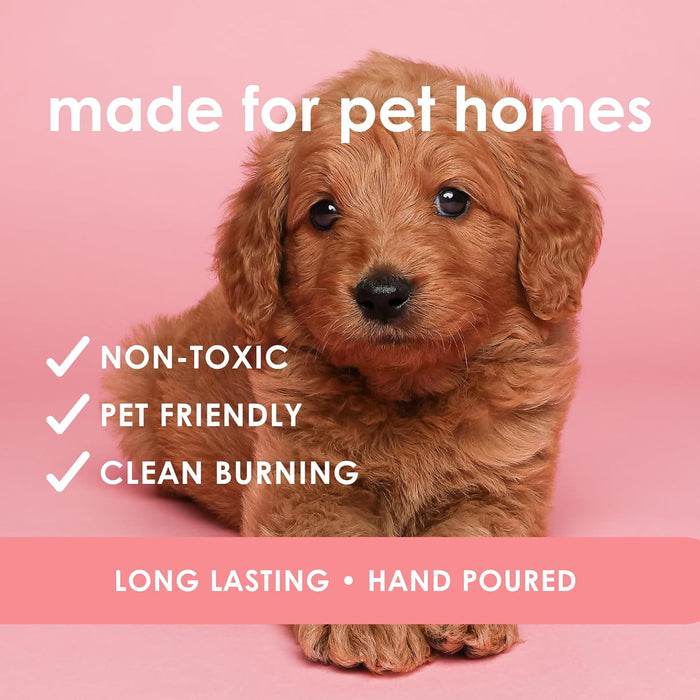Pet Safe Wax Melts | Non Toxic Soy Wax Cubes for Warmers | Odor Eliminating Home Fragrance | Natural, Paraffin-Free, Lon
