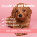 Pet Safe Wax Melts | Non Toxic Soy Wax Cubes for Warmers | Odor Eliminating Home Fragrance | Natural, Paraffin-Free, Lon