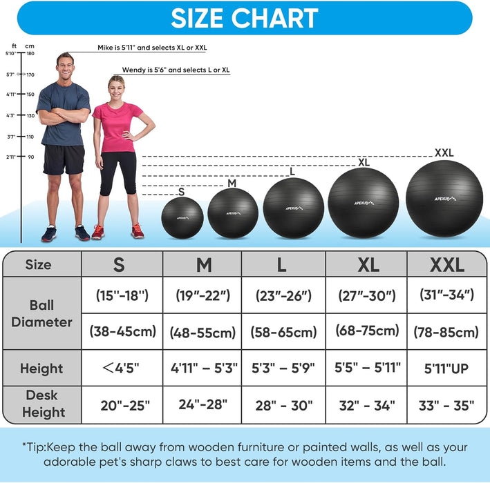 Yoga Ball, 660 lbs Anti-Burst Exercise Ball with Pump, 5 Sizes
