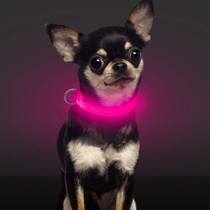 Light Up Dog Collar for Small Dogs & Cats (Pink, XS)