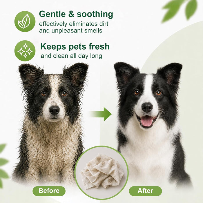 Jumbo Dog Wipes for Paws and Butt(10"x10", 400 Count), Pet Wipes for Cats
