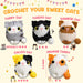 Crochet Kit for Beginners, 5 Cat Crochet Amigurumi Craft Kit