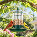 Metal Bird Feeders for Outdoors with 12” Weatherproof Dome, Green